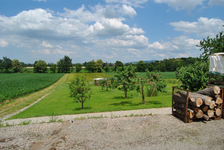 Blick auf das großzügige Grundstück - Einfamilienhaus mit Panoramablick in Staufen-Wettelbrunn