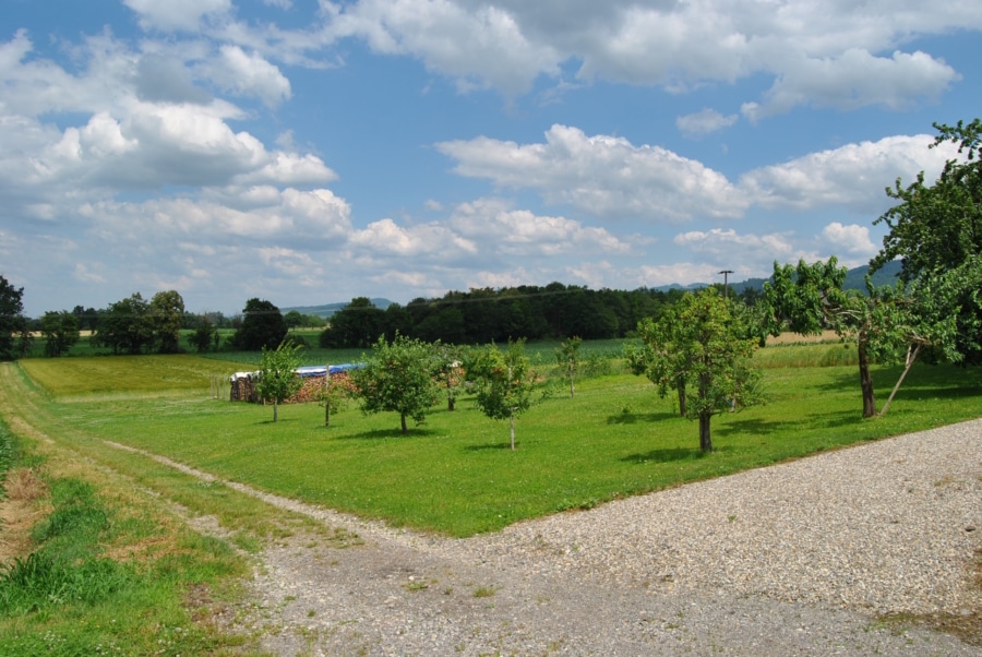 Wohnen inmitten... - Einfamilienhaus mit Panoramablick in Staufen-Wettelbrunn