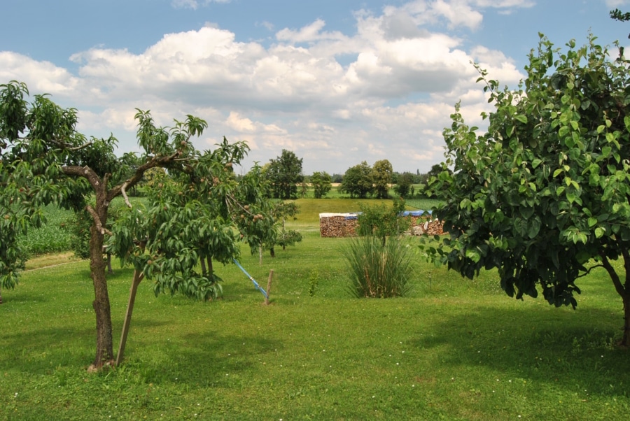 ... schöner Natur - Einfamilienhaus mit Panoramablick in Staufen-Wettelbrunn