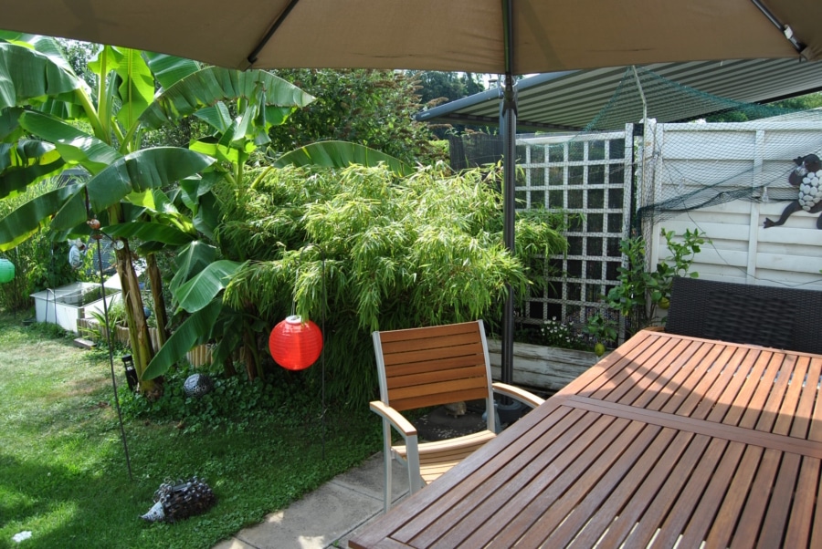 Gemütliche Terrasse... - Schönes Reihenmittelhaus in Bad Krozingen