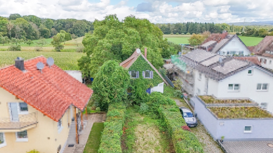 Blick auf das verwunschene und bewaldete Anwesen - Renovierungsbedürftiges Einfamilienhaus mit großem bewaldeten Grundstück in Reute