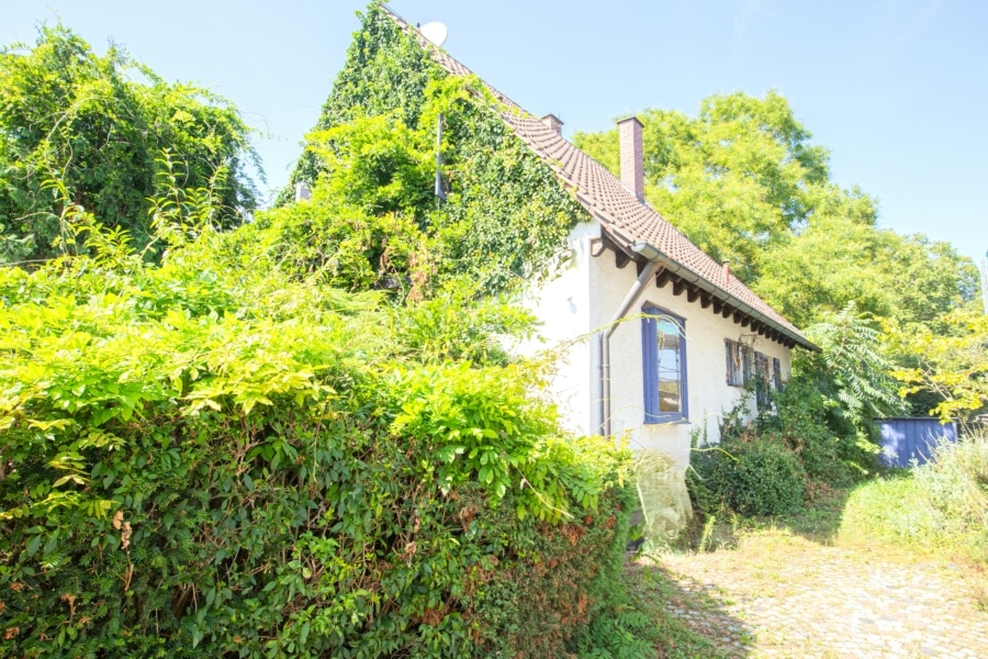 Blick aufs Haus und den Eingangsbereich - Renovierungsbedürftiges Einfamilienhaus mit großem bewaldeten Grundstück in Reute