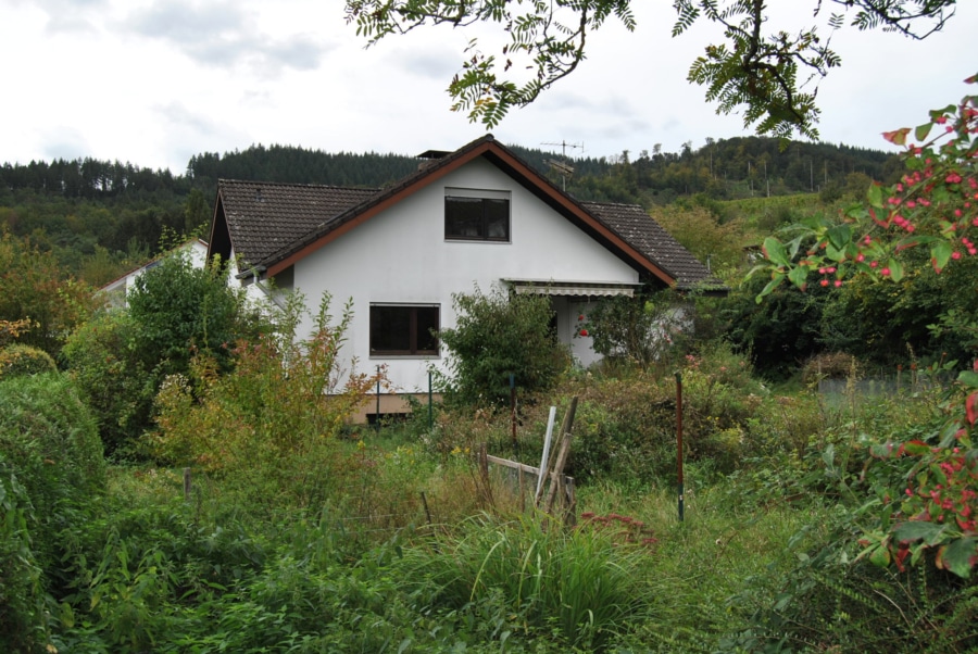 Hausansicht - Einfamilienhaus auf großem Grundstück in Staufen-Grunern