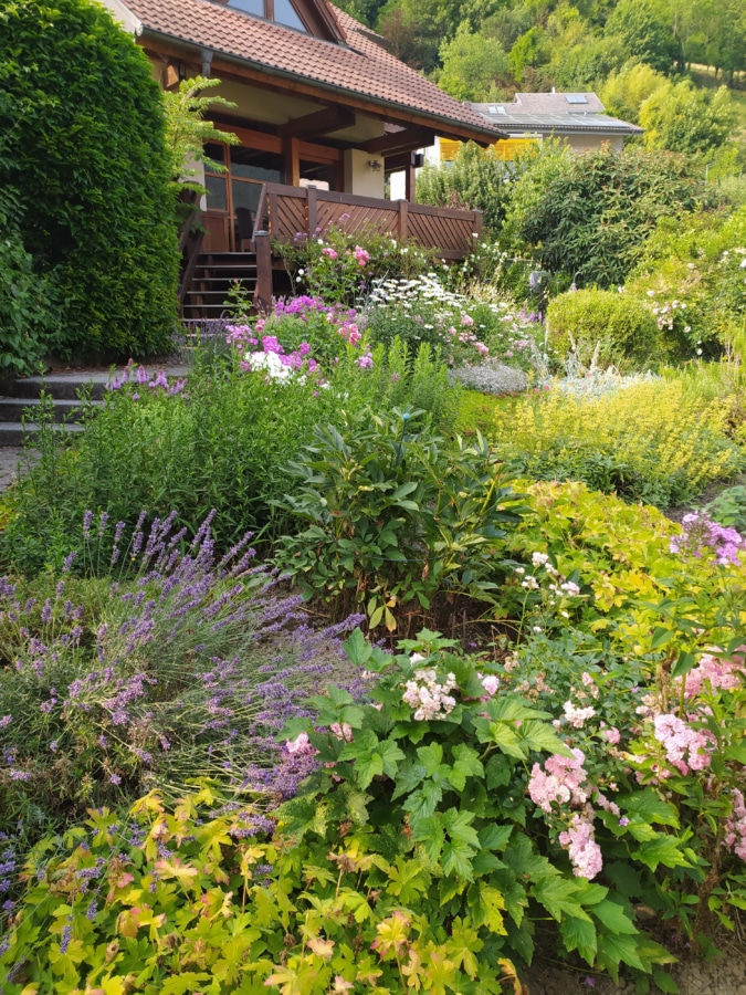 Zugang zum Haus durch den Garten - Besonderes Wohnhaus in sonniger Lage in Münstertal