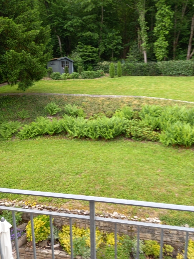 ... in naturnaher Umgebung - Attraktives, kernsaniertes Einfamilienhaus auf weitläufigem Grundstück in Badenweiler