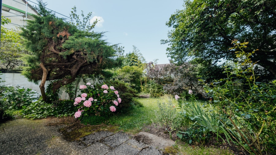 ...in den Garten - Freistehendes Einfamilienhaus mit schönem Garten in FR-Littenweiler