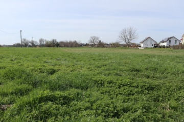 Zu verkaufen: Landwirtschaftsfläche in Burkheim, 79235 Burkheim, Land-/Forstwirtschaft