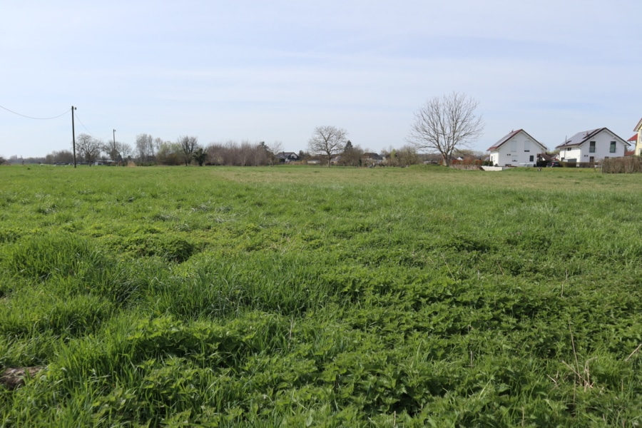 Ansicht von dem Grundstück - Zu verkaufen: Landwirtschaftsfläche in Burkheim