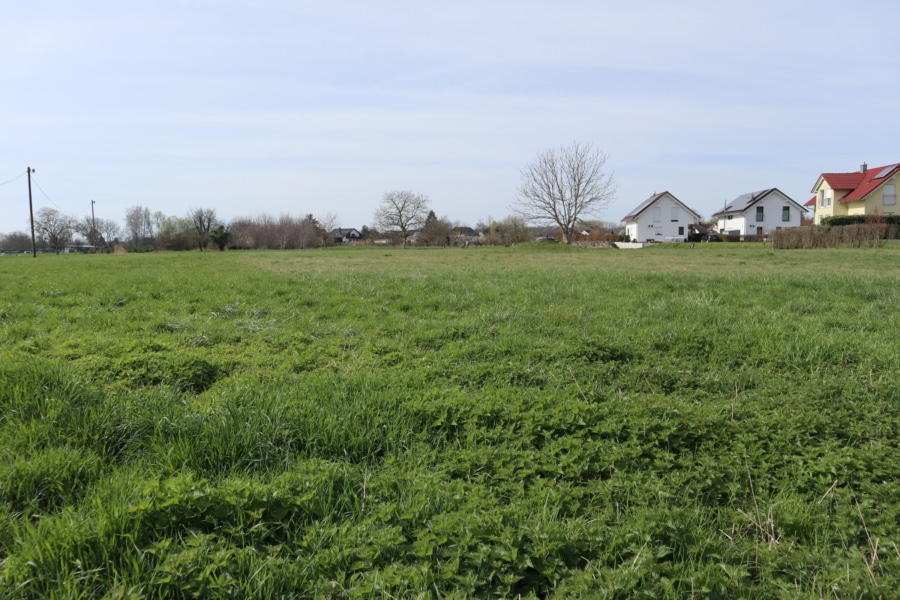 Ansicht 3 - Zu verkaufen: Landwirtschaftsfläche in Burkheim