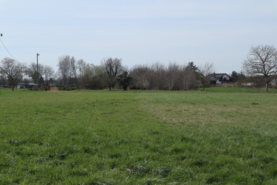 Ansicht 2 - Zu verkaufen: Landwirtschaftsfläche in Burkheim