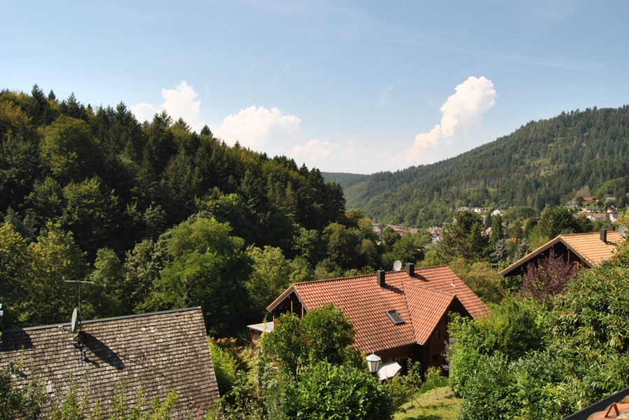 Aussicht in die Umgebung - Umgeben von Natur - Großzügiges Einfamilienhaus